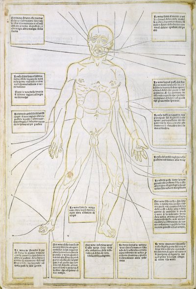 Illustration from 