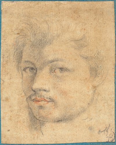 Head of a Man by Italian or French 16th