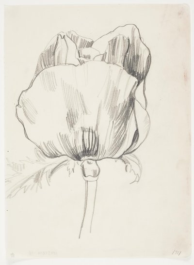 Poppy by J.A. Jerichau