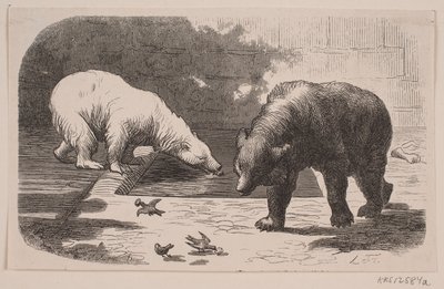 Bears in Jardin des Plantes by J.C. Nielsen