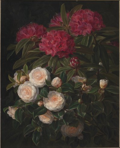 Camellias and Rhododendrons by J.L. Jensen