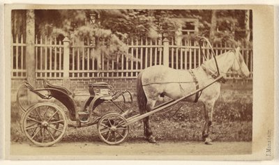 Small Carriage with Horse by J. Monstein
