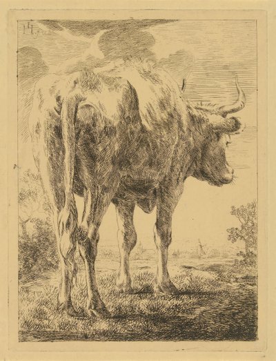 Cow in a Landscape by Jabes Heenck