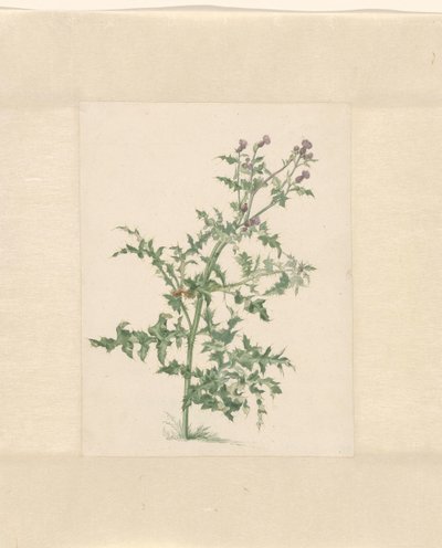 Blooming Plant by Jacob van Eynden (II)