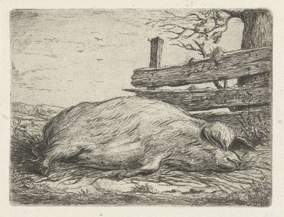 Lying Wild Boar by Jacobus Cornelis Gaal