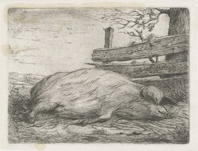 Lying Wild Boar by Jacobus Cornelis Gaal