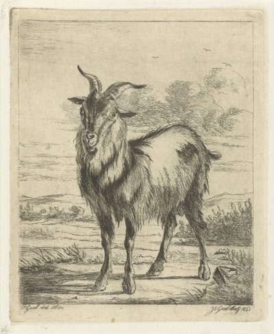 Standing Goat by Jacobus Cornelis Gaal