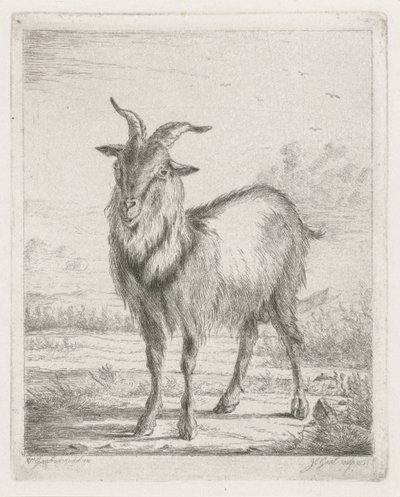 Standing Goat by Jacobus Cornelis Gaal