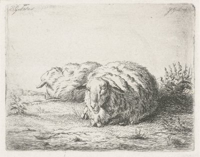 Two Lying Sheep by Jacobus Cornelis Gaal