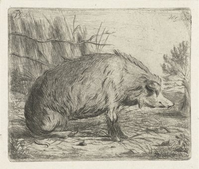 Seated Wild Boar by Jacobus Cornelis Gaal