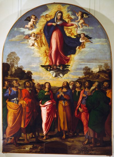 Assumption of Virgin by Jacopo (c.1480 1528) Palma