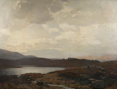 Dinnet Moor by James Cadenhead