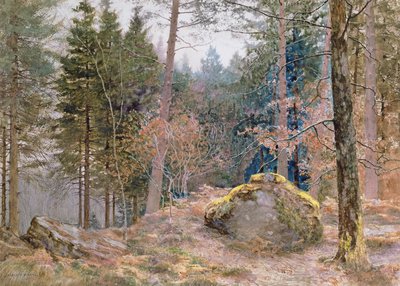 In a Welsh Wood, Winter by James Thomas Watts