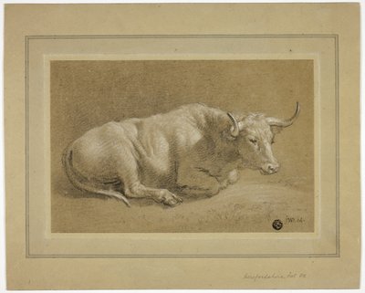 Herefordshire Fat Ox by James Ward