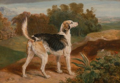 Ravager, One of the Lambton Hounds by James Ward