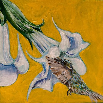 Hummingbird, 2023 by Jan Barzottini
