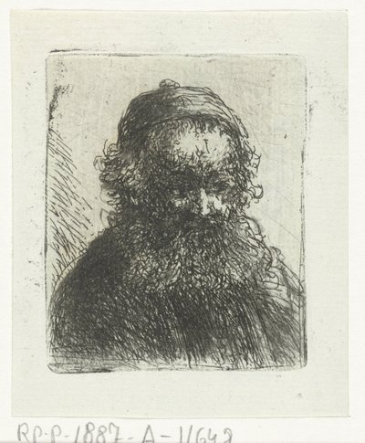 Old Man with Beard and Cap by Jan Chalon