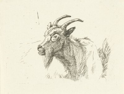 Lying Goat by Jan Dasveldt