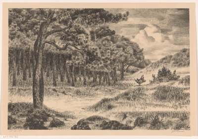 Forest in a Hilly Landscape by Jan Fekkes (signed by artist)