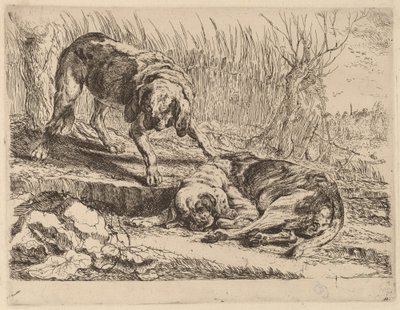 Two Beagles, One Sleeping by Jan Fyt