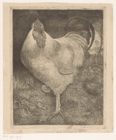 Rooster on One Leg by Jan Mankes