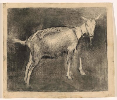 Standing Goat, Facing Right by Jan Mankes