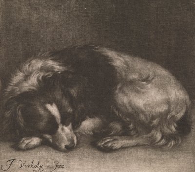 A Sleeping Dog by Jan Verkolje