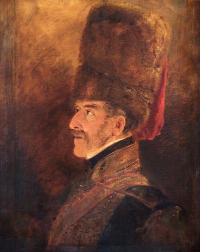 Field Marshal Henry William Paget by Jan Willem Pieneman