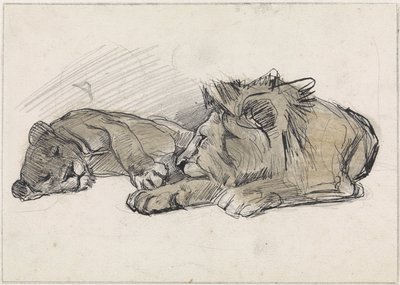 Lying Lion and Lioness by Jan van Essen