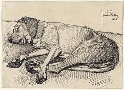 Sleeping Dog, Facing Left by Jan van Essen