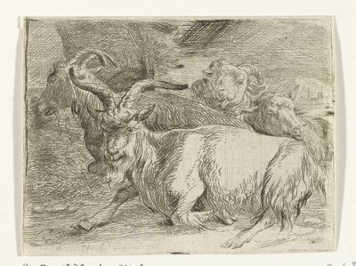 Two Goats and Two Sheep by Jan van Ossenbeeck
