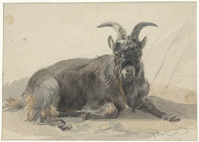 Lying Black Goat by Jan van Ravenswaay