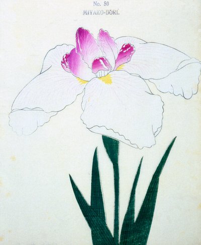 Miyako-Dore, no.50, 1898 by Japanese School