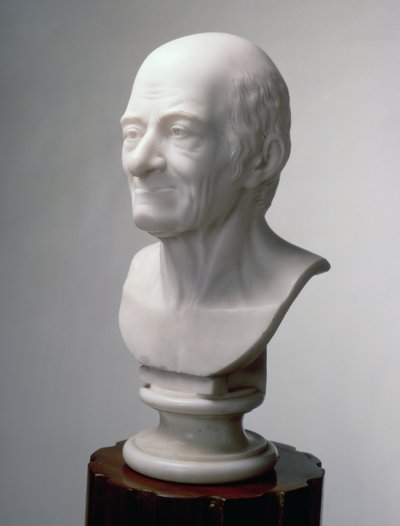 Bust of Voltaire, c.1770 by Jean Antoine Houdon