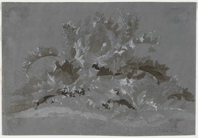 Study of Weeds by Jean Antoine Linck