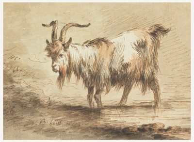 Study of a Goat by Jean Baptiste Huet