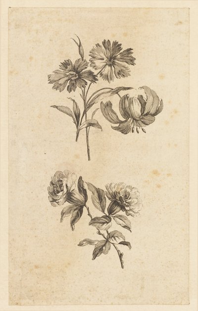 Two Flower Sprigs by Jean Baptiste Pillement