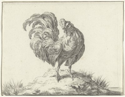 Chicken Standing on a Hill by Jean Bernard