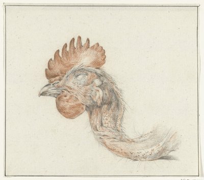 Head of a Dead Chicken by Jean Bernard