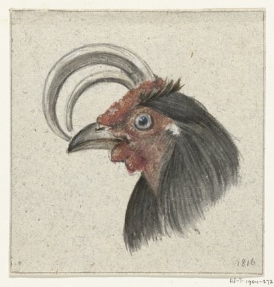 Head of a Rooster by Jean Bernard