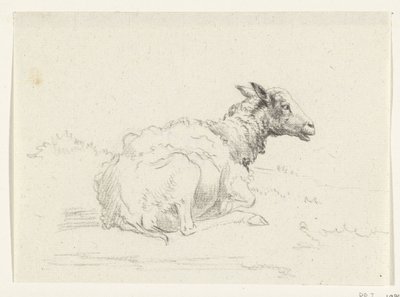 Lying Sheep, to the right by Jean Bernard