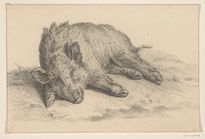 Lying Wild Boar by Jean Bernard