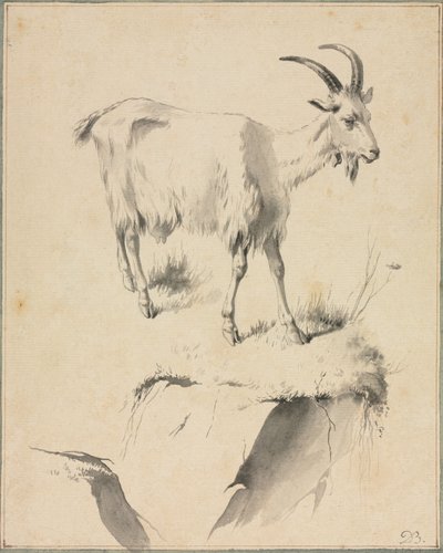 Study of a Goat by Jean Jacques de Boissieu