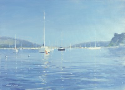 Salcombe Yachts - Summer Heat by Jennifer Wright