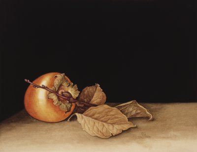 Persimmon, 2004 by Jenny Barron