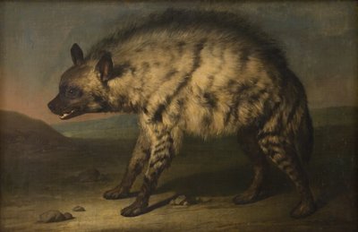 The Hyena in the Menagerie at Frederiksberg Palace by Jens Juel