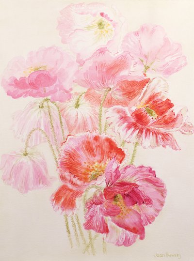 Shirley Poppies by Joan Thewsey