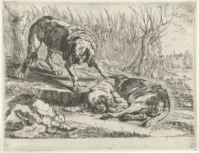 Two Dogs by Joannes Fijt