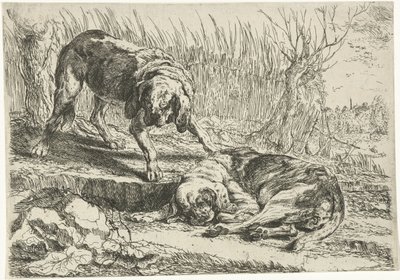 Two dogs, Dogs (series title) by Joannes Fijt