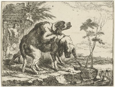 Two Mating Dogs by Joannes Fijt